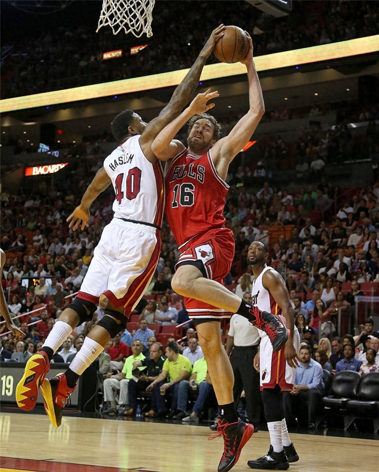 牙买加的短 牙买加的短